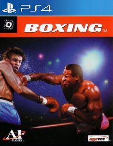 صورة للعبة Boxing